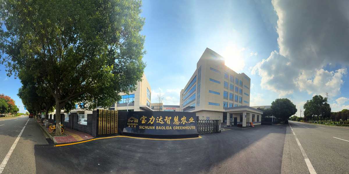 Cina Sichuan Baolida Metal Pipe Fittings Manufacturing Co., Ltd. Profil Perusahaan