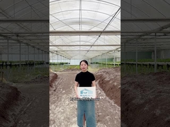 Siap untuk meningkatkan permainan pertanian Anda?