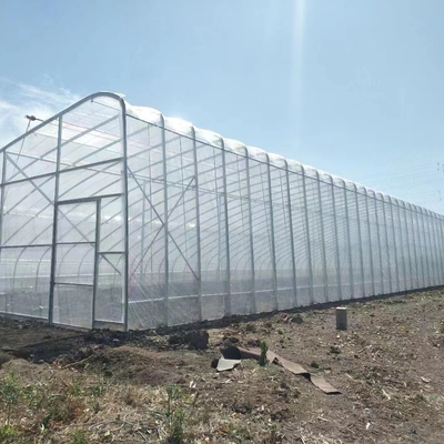 Kualitas  Plastic Film Solar Passive Greenhouse With Rainwater Collection Support pabrik