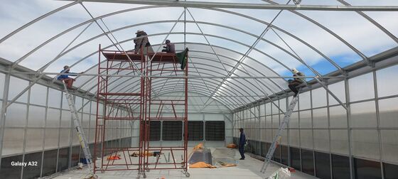 Kualitas  Automated Light Deprivation Greenhouse with 8mm Twin-Wall PC Board and Hot-Dip Galvanized Steel Frame Controlled by Smart PLC System pabrik