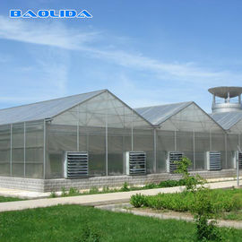 Kualitas  Commercial Polycarbonate Sheet Greenhouse / PC Sheet Greenhouse Customized Material pabrik