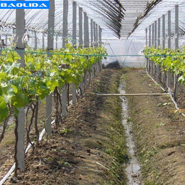 Kualitas  Small Greenhouse Irrigation System / Greenhouse Auto Watering System pabrik