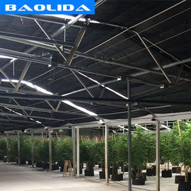 Kualitas  Advanced Automated Blackout Greenhouse Full Auto Light Deprivation Hemp Growing pabrik