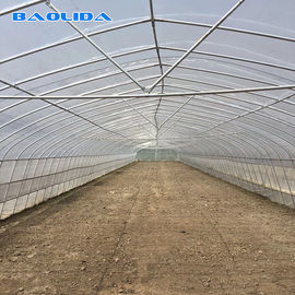 Kualitas  Tomato Growing Naturally Ventilated Greenhouse Plastic Film Greenhouse pabrik