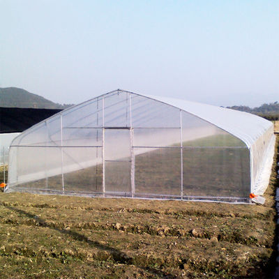 Kualitas  High Strength Agricultural Poly Tunnel Tomato Greenhouse 5*15m 17*50ft pabrik