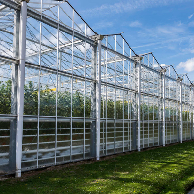 Sistem Tumbuh Hidroponik Rumah Kaca Kaca Surya Pertanian Untuk Sayuran