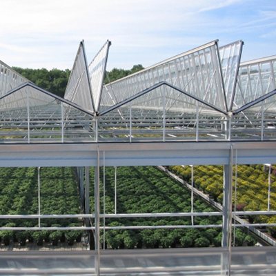 Sistem Tumbuh Hidroponik Rumah Kaca Kaca Surya Pertanian Untuk Sayuran