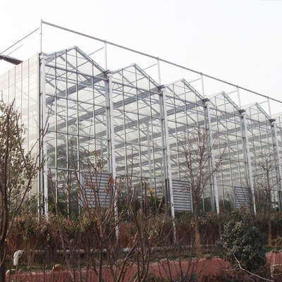 Rumah Kaca Jenis Venlo Transparan Pertanian Untuk Bunga Buah
