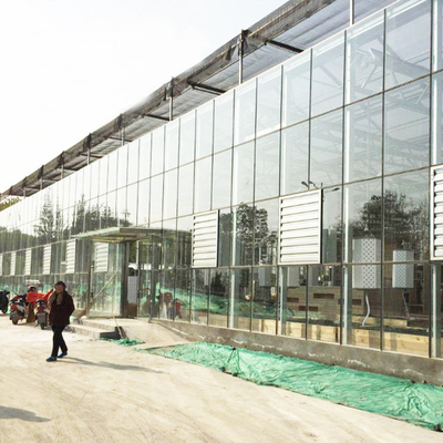 Venlo Tempered Glass Panel Rangka Baja Sistem Otomatis Rumah Kaca Eropa