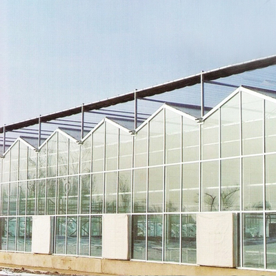 Venlo Tempered Glass Panel Rangka Baja Sistem Otomatis Rumah Kaca Eropa