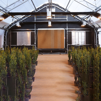 Lembar Pc Cannabis Pemadaman Cahaya Rumah Kaca Tanaman Pertanian Tumbuh
