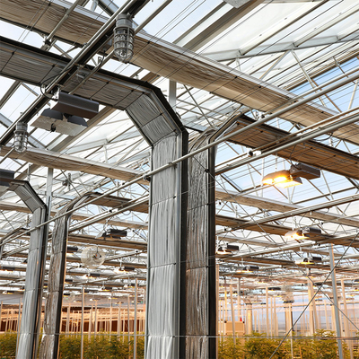 Led Grow Lighting Tunnel Auto Light Dep Greenhouse Multi Span Untuk Rami Tumbuh