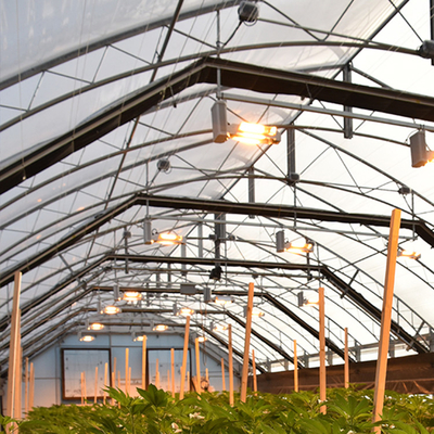 Sistem Perampasan Cahaya Blackout Greenhouse Span Tunggal Untuk Herb