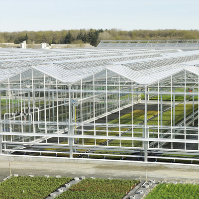Sistem Tumbuh Hidroponik Venlo Glass Greenhouse Galvanized Steel Frame