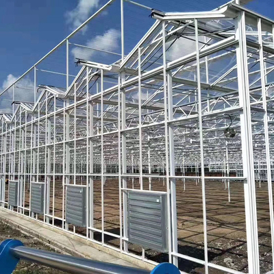 Struktur Baja Multi Rentang Venlo Glass Rumah Kaca Fiberglass Meliputi 1000m2