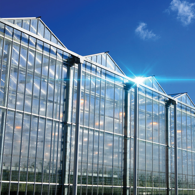 Polycarbonate Hollow Board Glass Industrial Outdoor Multispan Glass Profesional Rumah Kaca Belanda Untuk Menanam Bunga