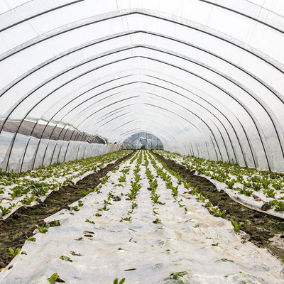 Rangka Baja Polyethylene Film Singlespan Greenhouse Untuk Pertanian Pertanian