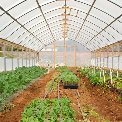 Rangka Baja Galvanis Terowongan Pe Film Rumah Kaca Span Tunggal Untuk Pertanian