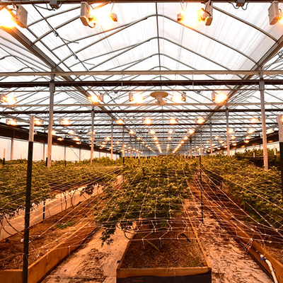 Light Dep Automated Blackout Greenhouse Black Curtain Bahan untuk Sayuran