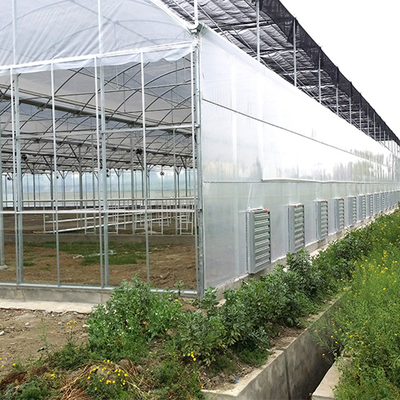 Plastik Transparan Multi Span Rumah Kaca Pertanian Sisi Jendela Dukungan