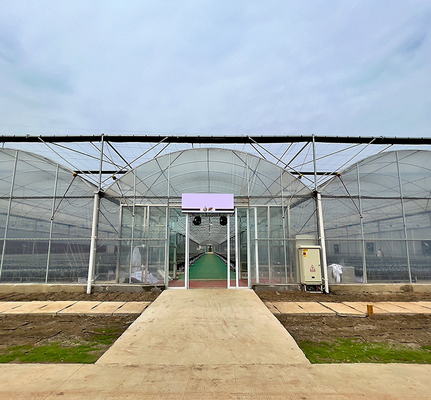 Rumah Kaca Film Plastik Pertanian Multi Span Disesuaikan untuk Penanaman Tomat
