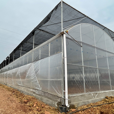 Rumah Kaca Film Plastik Pertanian Multi Span Disesuaikan untuk Penanaman Tomat