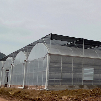 Pertanian Polietilen Foil Rumah Kaca Struktur Baja Galvanis Panas Multi Bentang Rumah Kaca