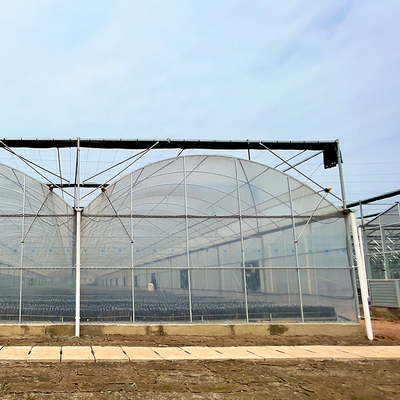 Pertanian Rumah Kaca Serre Invernadero Tomat Multi Span dengan Film Cerdas
