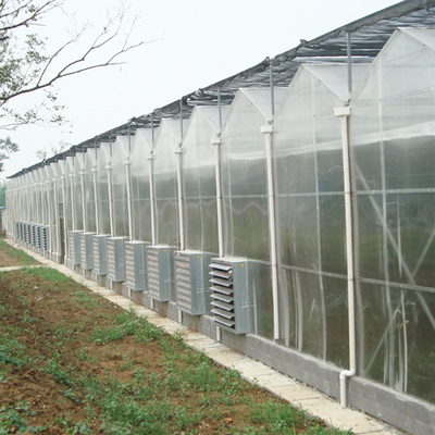 Bunga Pertanian Shading Multi Span Hot Dipped Galvanized Polycarbonate Greenhouse