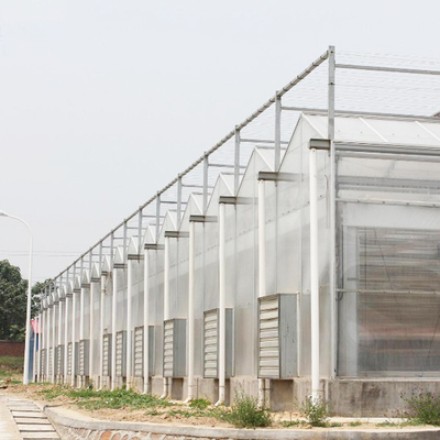 Rumah Kaca Terowongan Polikarbonat Multispan Untuk Tumbuh Sayuran