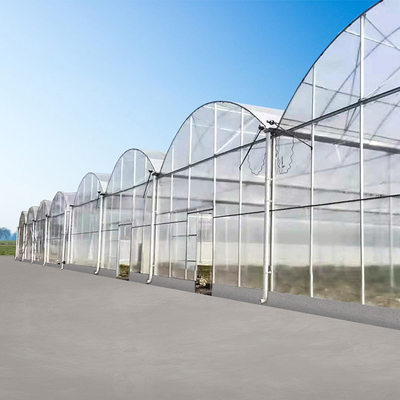 Bunga Pertanian Shading Multi Span Hot Dipped Galvanized Polycarbonate Greenhouse