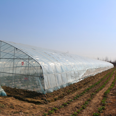 100m Panjang Plastik Terowongan Tinggi Pertanian Film Polietilen Rumah Kaca Untuk Pertumbuhan Tanaman