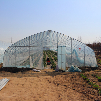 Rangka Baja Galvanis Terowongan Film Plastik Rumah Kaca untuk Tanaman Sayuran Tumbuh