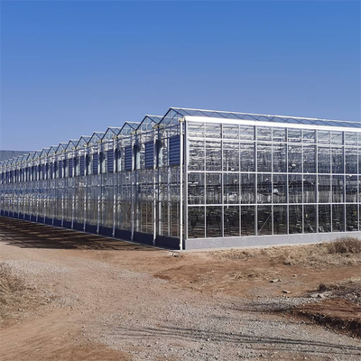 Polycarbonate Hollow Board Glass Industrial Outdoor Multispan Glass Profesional Rumah Kaca Belanda Untuk Menanam Bunga
