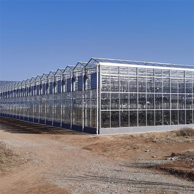 Pertanian Multi Span Otomatis Venlo Glass Rumah Kaca Untuk Sayuran Tumbuh