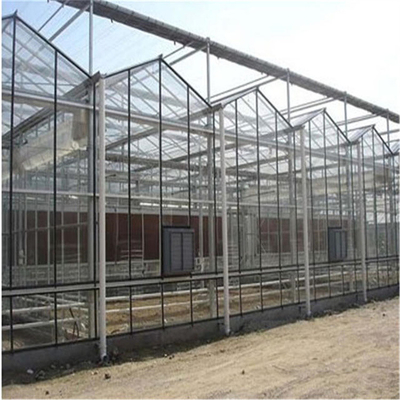 Panel Kaca Tempered Venlo Type Rumah Kaca Multispan Untuk Sayuran Hidroponik