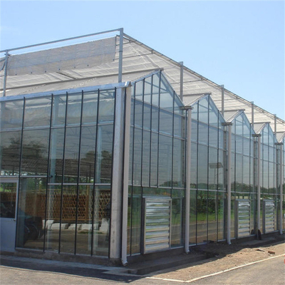 Panel Kaca Tempered Venlo Type Rumah Kaca Multispan Untuk Sayuran Hidroponik