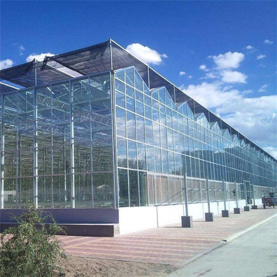 Rumah Kaca Multi Span Venlo Glass Dengan Hidroponik Seedbed Untuk Tomat Strawberry