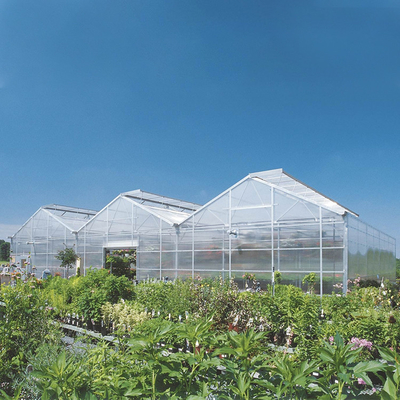 Industri Polycarbonate Sheet Greenhouse Multi Span 8mm Panel PC Untuk Bunga