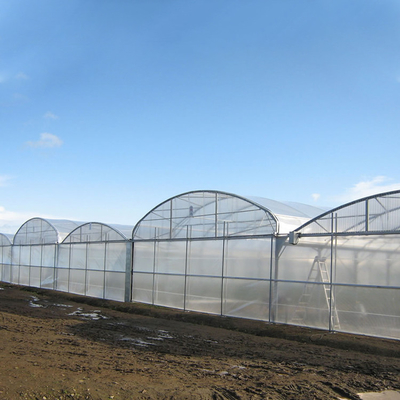 Proyek Turnkey Rumah Kaca Polycarbonate Sheet Pertanian Serre Agricole Intelligent
