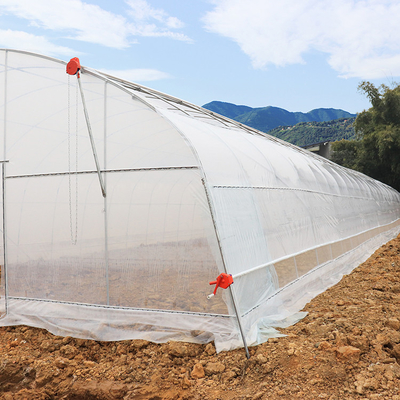 Sayuran Tumbuh Single Span Rumah Kaca Pertanian Terowongan Tinggi Untuk Bibit