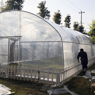 Terowongan Film Plastik Ventilasi Atas Rumah Kaca Uv Span Tunggal Untuk Tumbuhan Tanaman