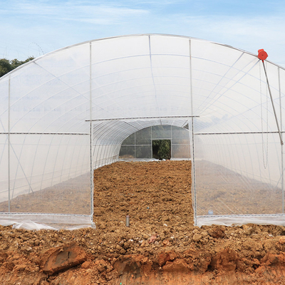 Terowongan Film Plastik Ventilasi Atas Rumah Kaca Uv Span Tunggal Untuk Tumbuhan Tanaman