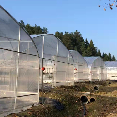 Rumah Kaca Terowongan Film Plastik Span Tunggal untuk Tumbuhan Pertanian