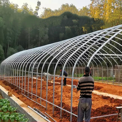 Rumah Kaca Terowongan Film Plastik Span Tunggal untuk Tumbuhan Pertanian