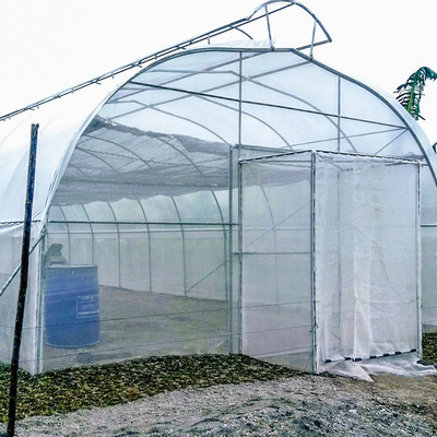 Pertanian Single Span Single Tunnel Umbrella Roof Vent Rumah Kaca Untuk Area Panas