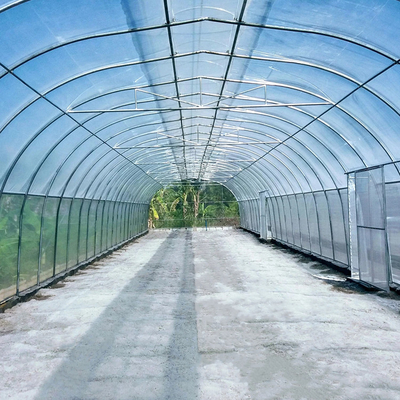 Bingkai Rumah Kaca Galvanis Payung Rentang Tunggal Ventilasi Otomatis Terowongan Tropis