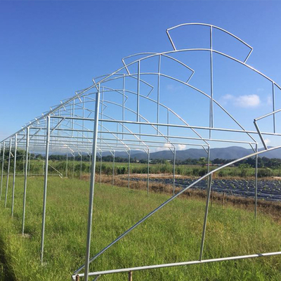 Ventilasi Atap Payung Rumah Kaca Span Tunggal Untuk Tumbuh Hidroponik Tropis