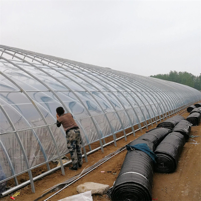 Rumah Kaca Surya Pasif Pertanian Tomat Dengan Sistem Pemanas