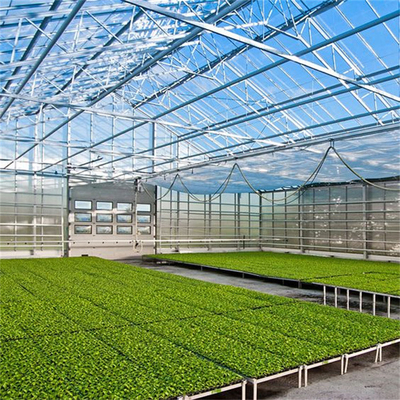 Kaca Multi Span Rumah Kaca Tropis Bunga Hidroponik Surya Tumbuh Sayuran